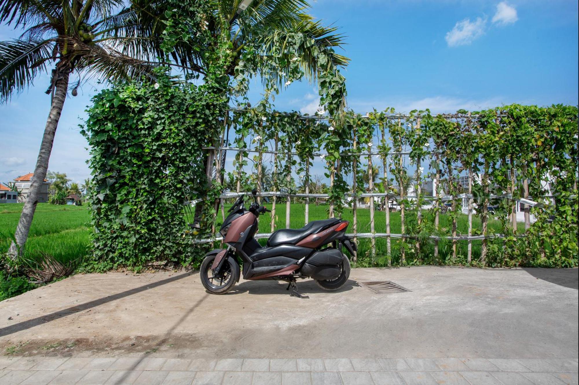 Green Flow Ubud Villas III Стая снимка