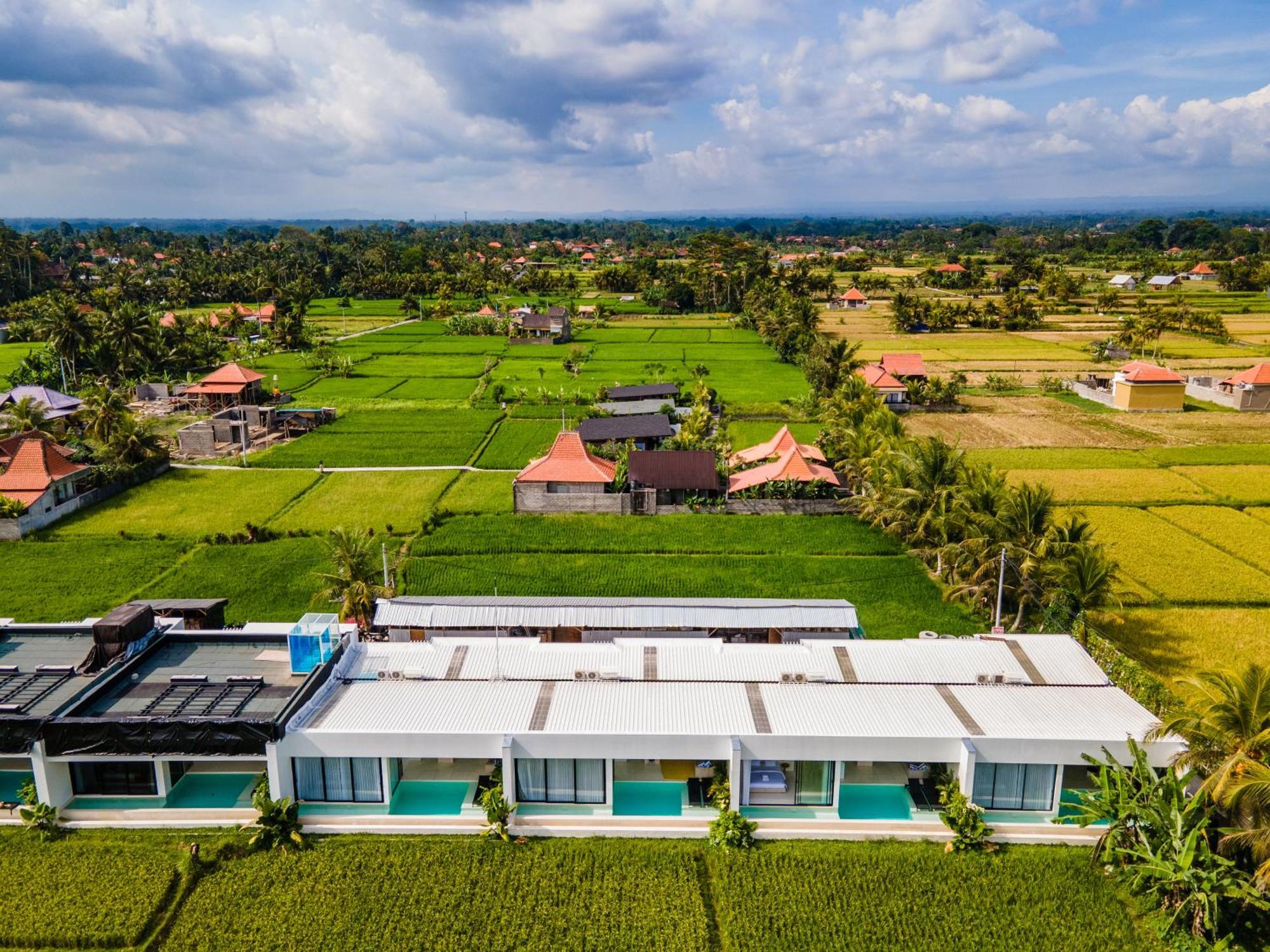 Green Flow Ubud Villas III Стая снимка